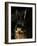 Black and Tan Domestic Rabbit-Adriano Bacchella-Framed Photographic Print