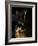 Black and Tan Domestic Rabbit-Adriano Bacchella-Framed Photographic Print