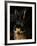 Black and Tan Domestic Rabbit-Adriano Bacchella-Framed Photographic Print