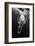 Black and Whale-Barathieu Gabriel-Framed Photographic Print