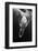 Black and Whale-Barathieu Gabriel-Framed Photographic Print