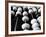 Black And White Abacus-mrvalography-Framed Photographic Print