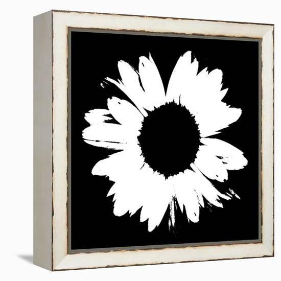 Black And White Abstract Daisy II-Ruth Palmer-Framed Stretched Canvas