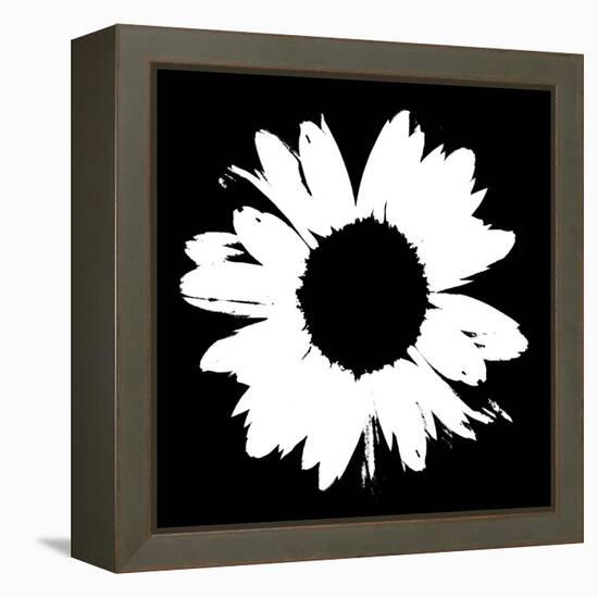 Black And White Abstract Daisy II-Ruth Palmer-Framed Stretched Canvas