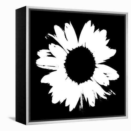 Black And White Abstract Daisy II-Ruth Palmer-Framed Stretched Canvas