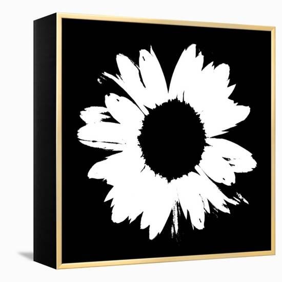 Black And White Abstract Daisy II-Ruth Palmer-Framed Stretched Canvas