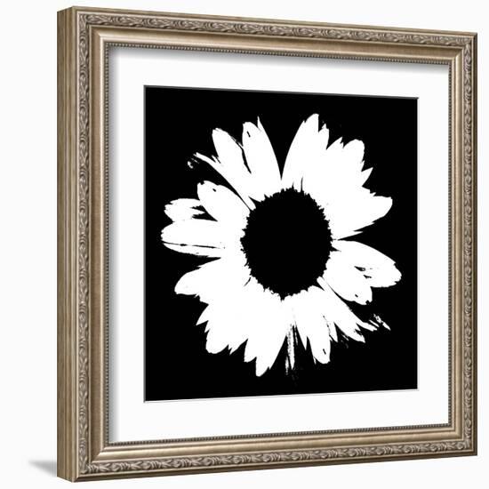 Black And White Abstract Daisy II-Ruth Palmer-Framed Art Print