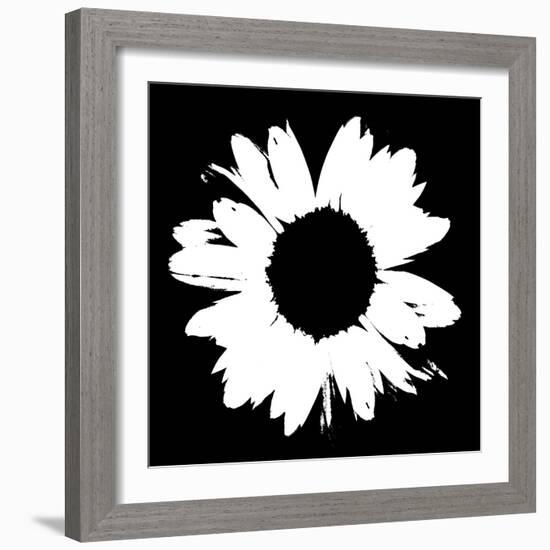 Black And White Abstract Daisy II-Ruth Palmer-Framed Art Print