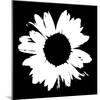 Black And White Abstract Daisy II-Ruth Palmer-Mounted Art Print