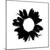 Black And White Abstract Daisy-Ruth Palmer-Mounted Art Print