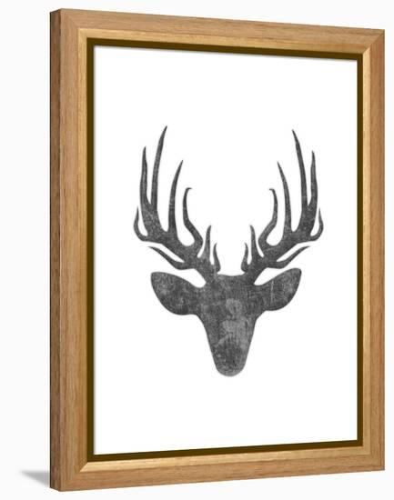 Black And White Aged Deer Mate-Jace Grey-Framed Stretched Canvas