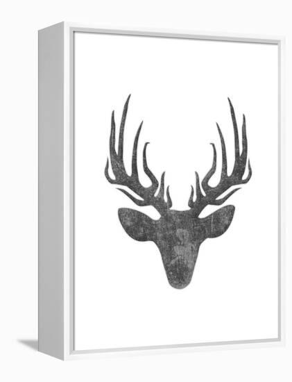 Black And White Aged Deer Mate-Jace Grey-Framed Stretched Canvas