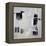 Black and White and in Between-Karen Hale-Framed Stretched Canvas
