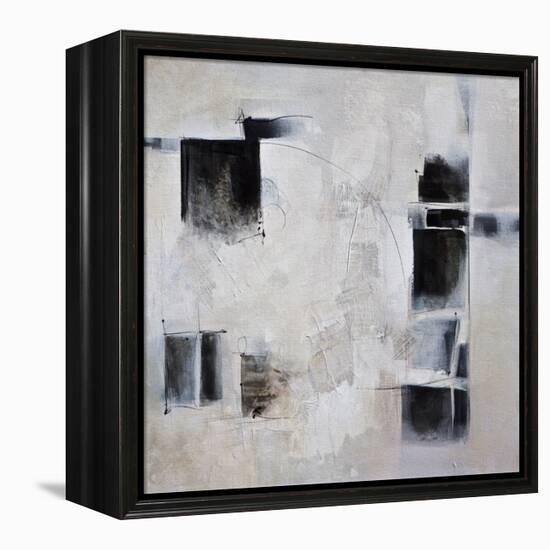 Black and White and in Between-Karen Hale-Framed Stretched Canvas