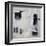 Black and White and in Between-Karen Hale-Framed Art Print