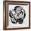 Black and White Bloom I-Sydney Edmunds-Framed Giclee Print