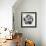 Black and White Bloom I-Sydney Edmunds-Framed Giclee Print displayed on a wall