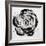 Black and White Bloom I-Sydney Edmunds-Framed Giclee Print