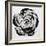 Black and White Bloom I-Sydney Edmunds-Framed Giclee Print