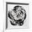 Black and White Bloom I-Sydney Edmunds-Framed Giclee Print