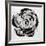 Black and White Bloom I-Sydney Edmunds-Framed Giclee Print