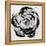 Black and White Bloom I-Sydney Edmunds-Framed Premier Image Canvas