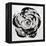 Black and White Bloom I-Sydney Edmunds-Framed Premier Image Canvas