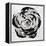 Black and White Bloom I-Sydney Edmunds-Framed Premier Image Canvas