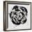 Black and White Bloom II-Sydney Edmunds-Framed Giclee Print