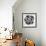 Black and White Bloom II-Sydney Edmunds-Framed Giclee Print displayed on a wall