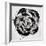 Black and White Bloom II-Sydney Edmunds-Framed Giclee Print