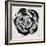 Black and White Bloom II-Sydney Edmunds-Framed Giclee Print