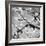 Black and White Blossoms II-Susan Bryant-Framed Photographic Print