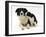 Black-And-White Border Collie Bitch, and Pup, 6 Weeks-Mark Taylor-Framed Photographic Print