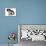 Black-And-White Border Collie Bitch, and Pup, 6 Weeks-Mark Taylor-Mounted Photographic Print displayed on a wall