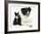 Black-And-White Border Collie Bitch, with Black-And-White Tuxedo Kitten, 10 Weeks-Mark Taylor-Framed Photographic Print