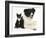 Black-And-White Border Collie Bitch, with Black-And-White Tuxedo Kitten, 10 Weeks-Mark Taylor-Framed Photographic Print