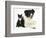 Black-And-White Border Collie Bitch, with Black-And-White Tuxedo Kitten, 10 Weeks-Mark Taylor-Framed Photographic Print