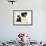 Black-And-White Border Collie Bitch, with Black-And-White Tuxedo Kitten, 10 Weeks-Mark Taylor-Framed Photographic Print displayed on a wall