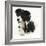 Black-And-White Border Collie Bitch, with Black-And-White Tuxedo Kitten, 10 Weeks-Mark Taylor-Framed Photographic Print