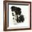 Black-And-White Border Collie Bitch, with Black-And-White Tuxedo Kitten, 10 Weeks-Mark Taylor-Framed Photographic Print