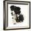 Black-And-White Border Collie Bitch, with Black-And-White Tuxedo Kitten, 10 Weeks-Mark Taylor-Framed Photographic Print