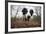 Black And White Border Collie, Hampstead Heath, England, UK-Matthew Maran-Framed Photographic Print