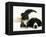 Black-And-White Border Collie Lying Chin on Floor with Black-And-White Kitten-Jane Burton-Framed Premier Image Canvas