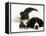 Black-And-White Border Collie Lying Chin on Floor with Black-And-White Kitten-Jane Burton-Framed Premier Image Canvas