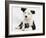 Black and White Border Collie Puppy and Guinea Pig-Mark Taylor-Framed Photographic Print