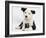 Black and White Border Collie Puppy and Guinea Pig-Mark Taylor-Framed Photographic Print