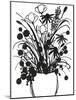 Black and White Bouquet 1-Filippo Ioco-Mounted Art Print