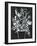 Black and White Bouquet 2-Filippo Ioco-Framed Art Print