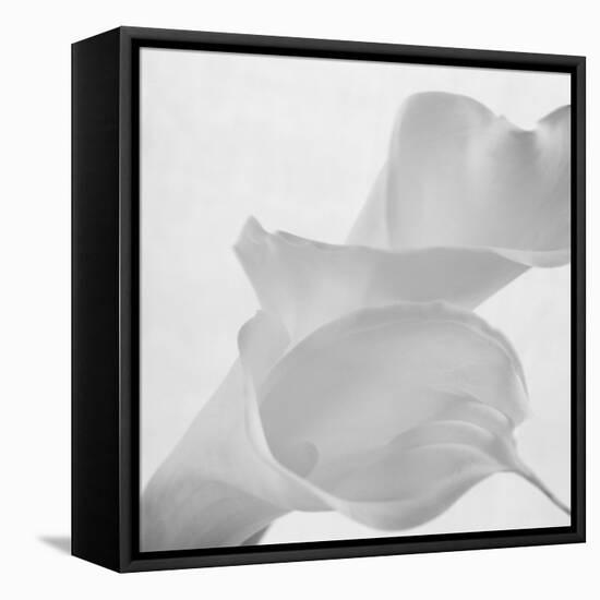 Black and White Calla Study-Anna Miller-Framed Premier Image Canvas